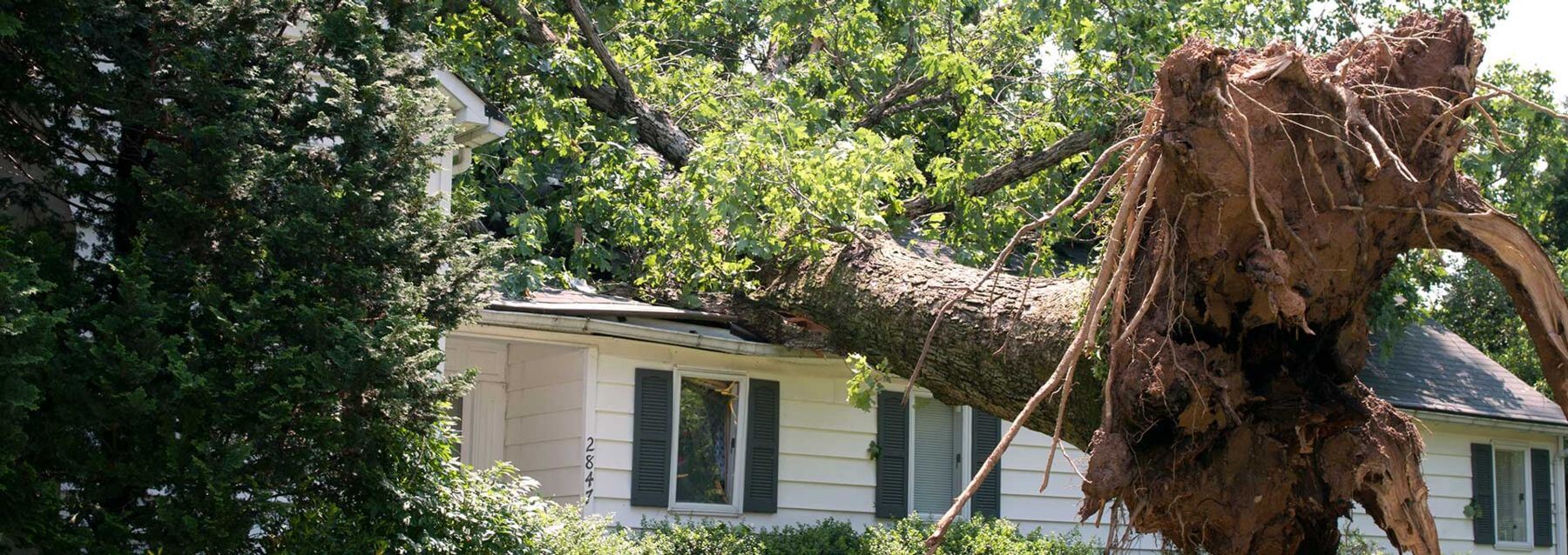 Wind Damage Restoration in Washington