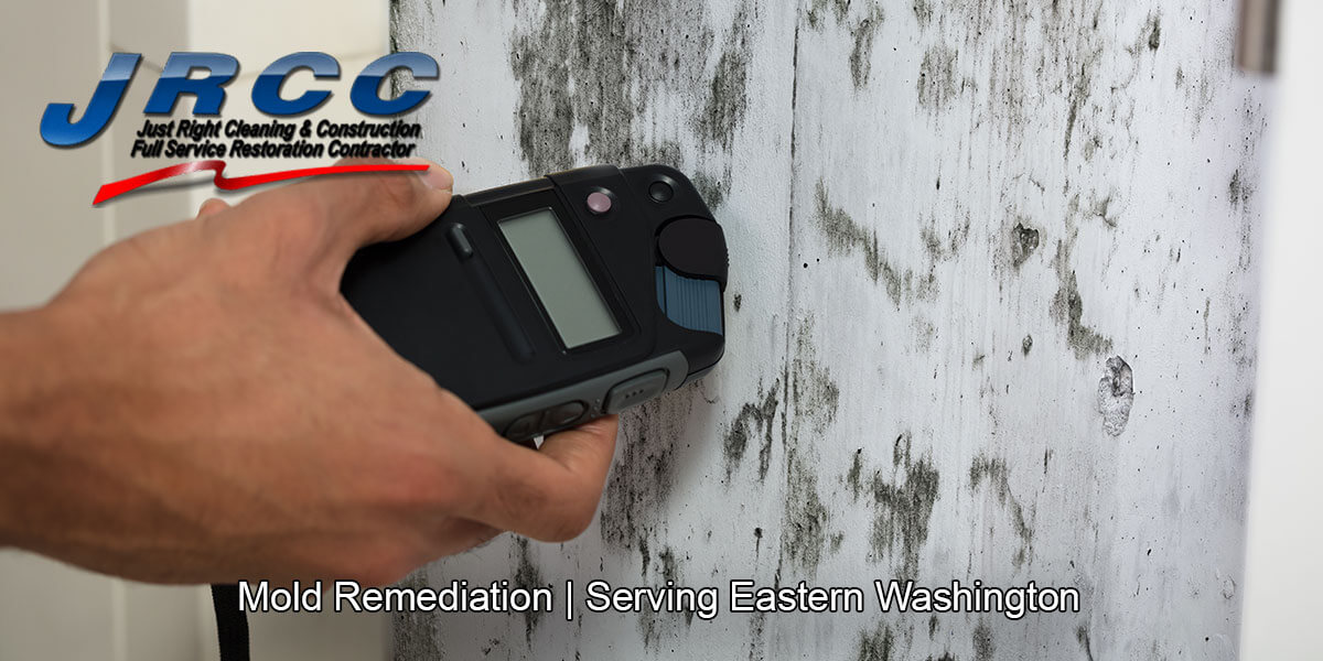  Black mold remediation in Douglas County, Washington
