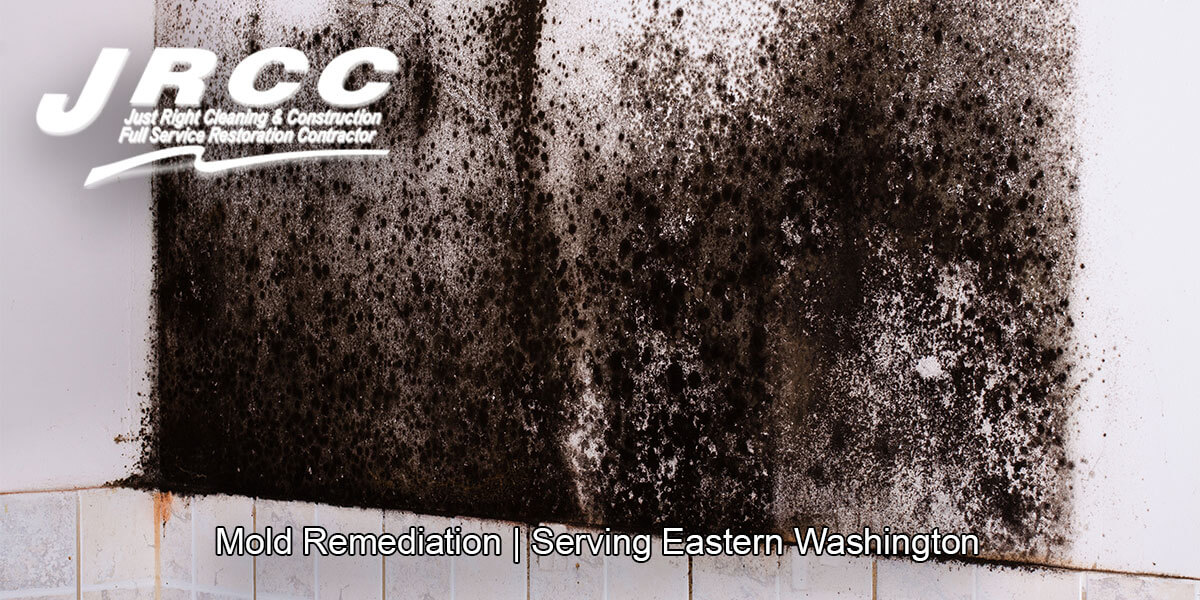  Black mold remediation in Wenatchee, WA