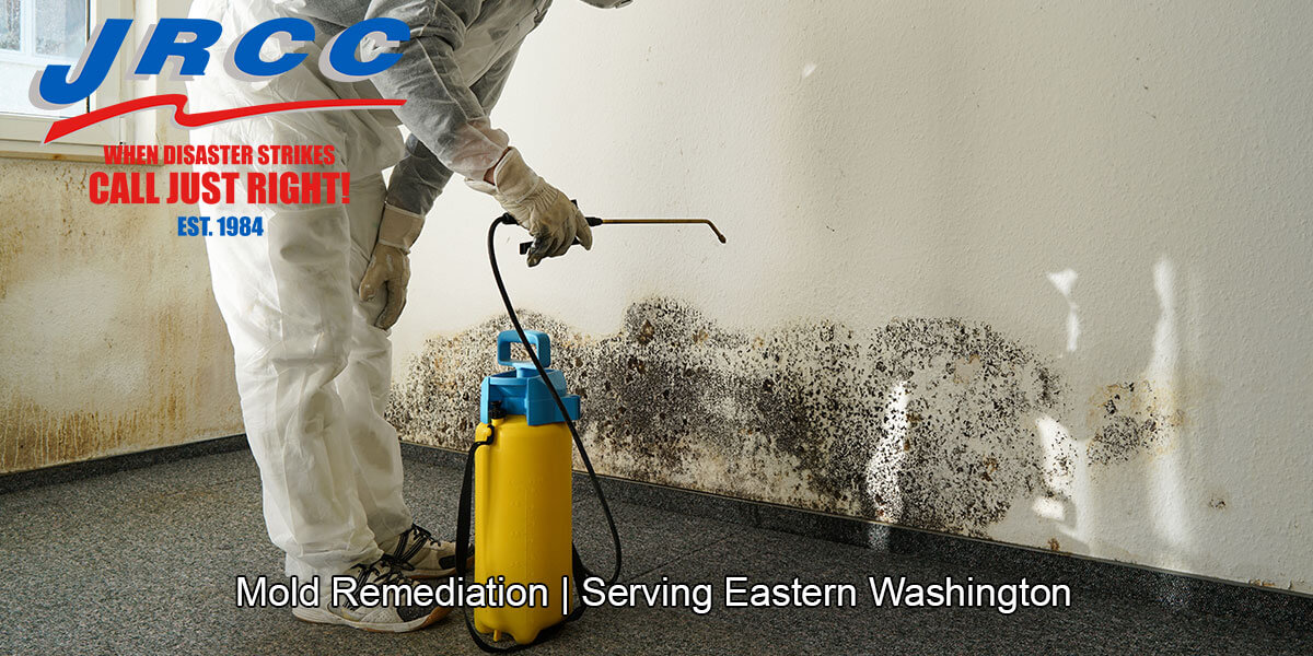  Black mold inspections in Palisades, WA