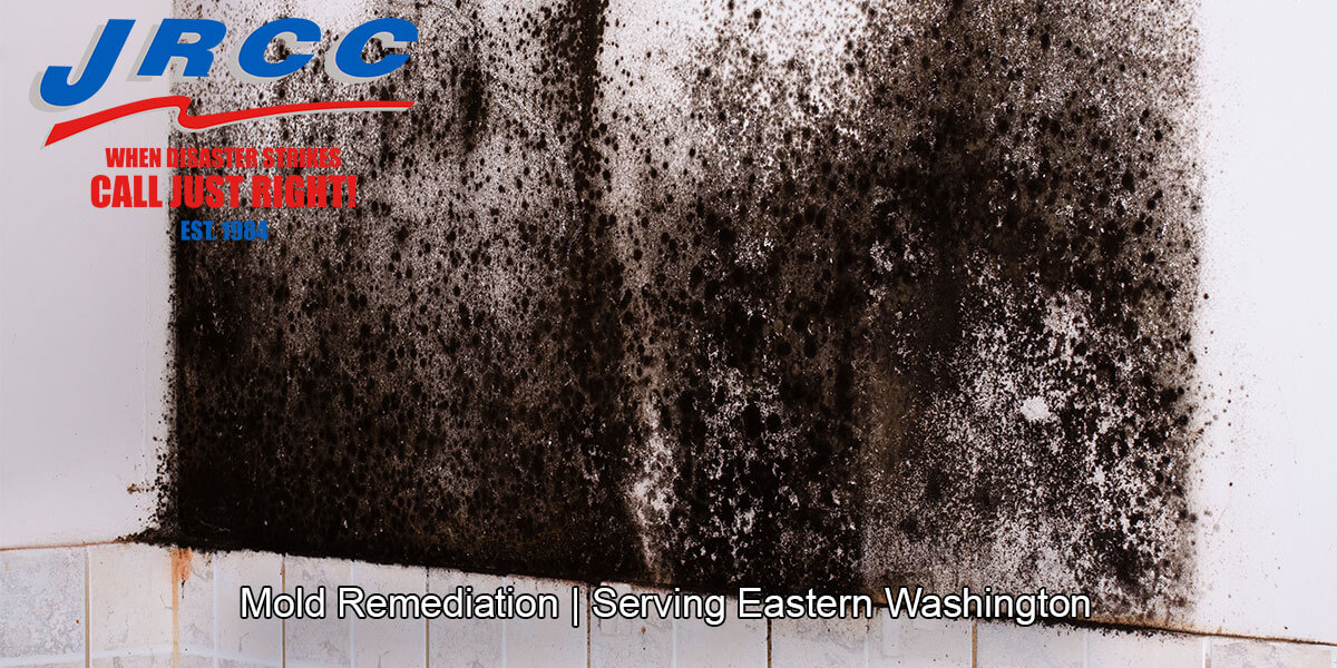  Black mold remediation in Grant County, WA
