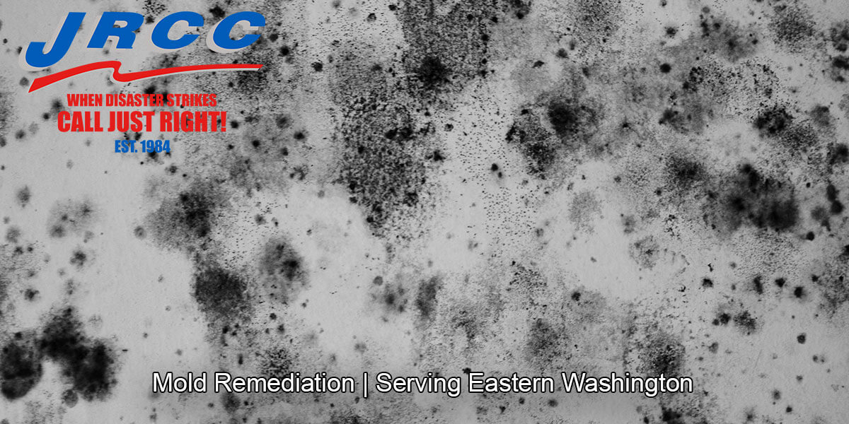  Black mold remediation in Snoqualmie Pass, WA