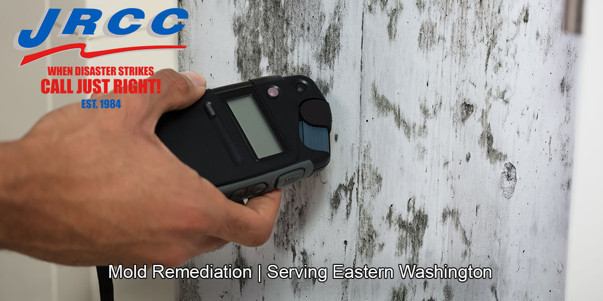  Black mold inspections in Dryden, WA
