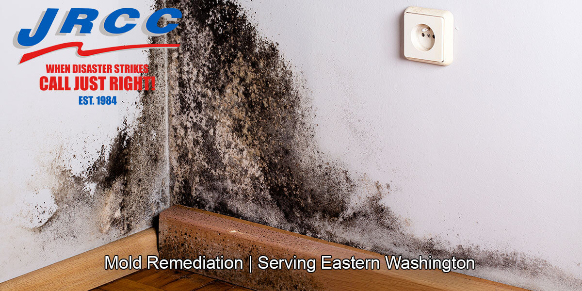  Black mold inspections in Sims Corner, WA