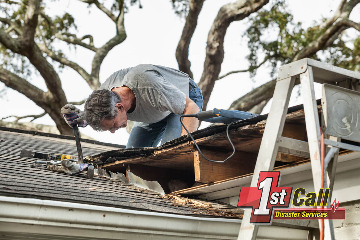   raccoon damage cleanup in Crittenden, KY