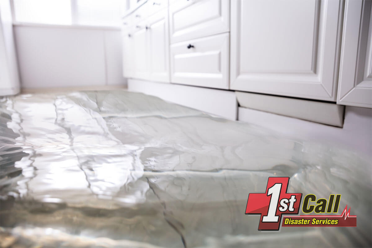   Deodorizing and disinfecting in Edgewood, KY