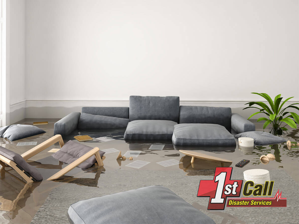   Dehumidification and structural drying in Newport, KY