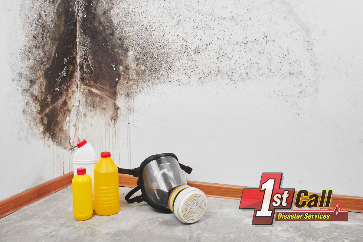   Mold Mitigation in Walton, KY