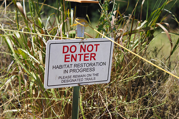habitat restoration, spyder hoe