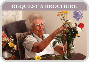Request a Brochure