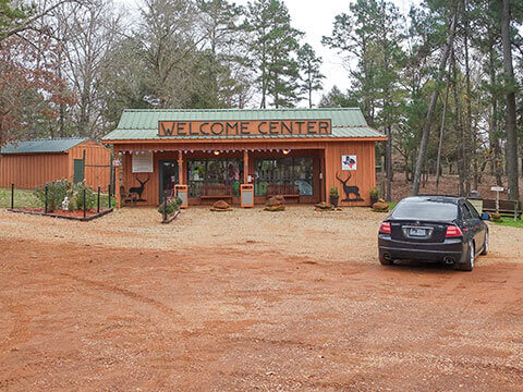 animal safari in Jacksonville, TX