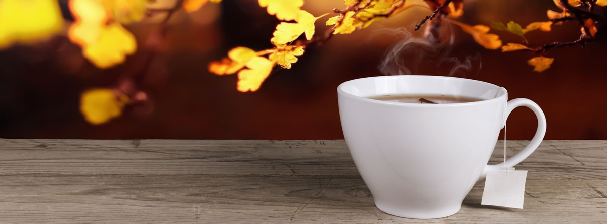For Sale! Best Herbal Ginseng Tea from Wisconsin