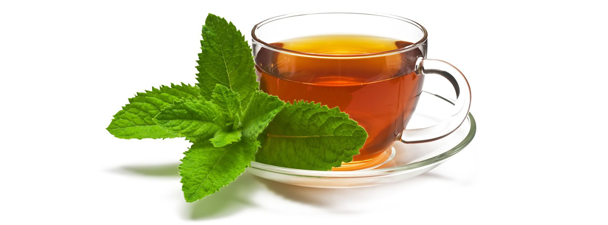 Get it Now! Delicious American Ginseng Tea found in Wisconsin