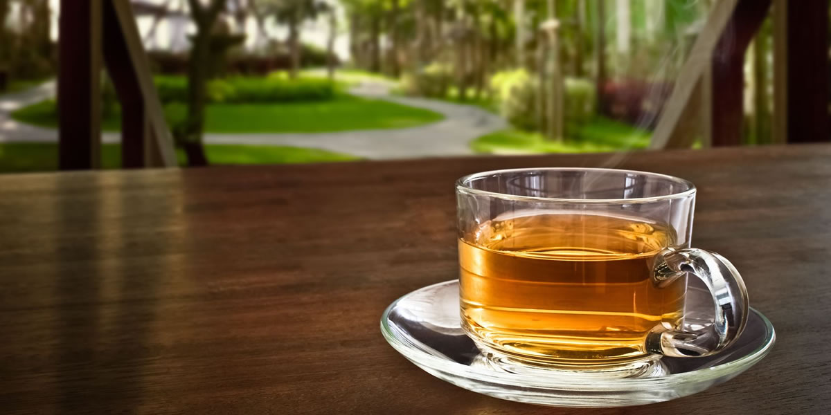 Don't Wait! The Best Ginseng Tea  