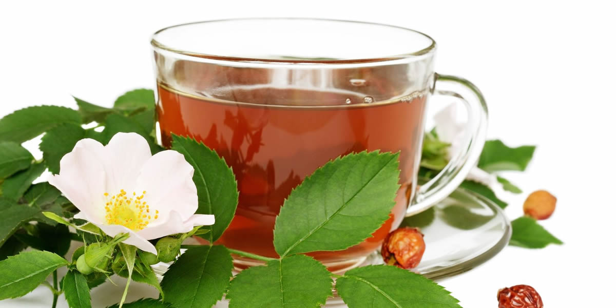 Good Stuff! The Best Herbal Ginseng Tea  