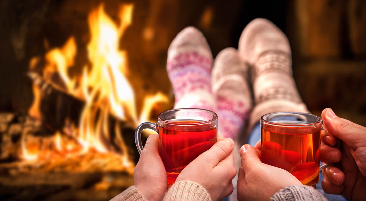 LOL! Best Natural American Ginseng Tea  