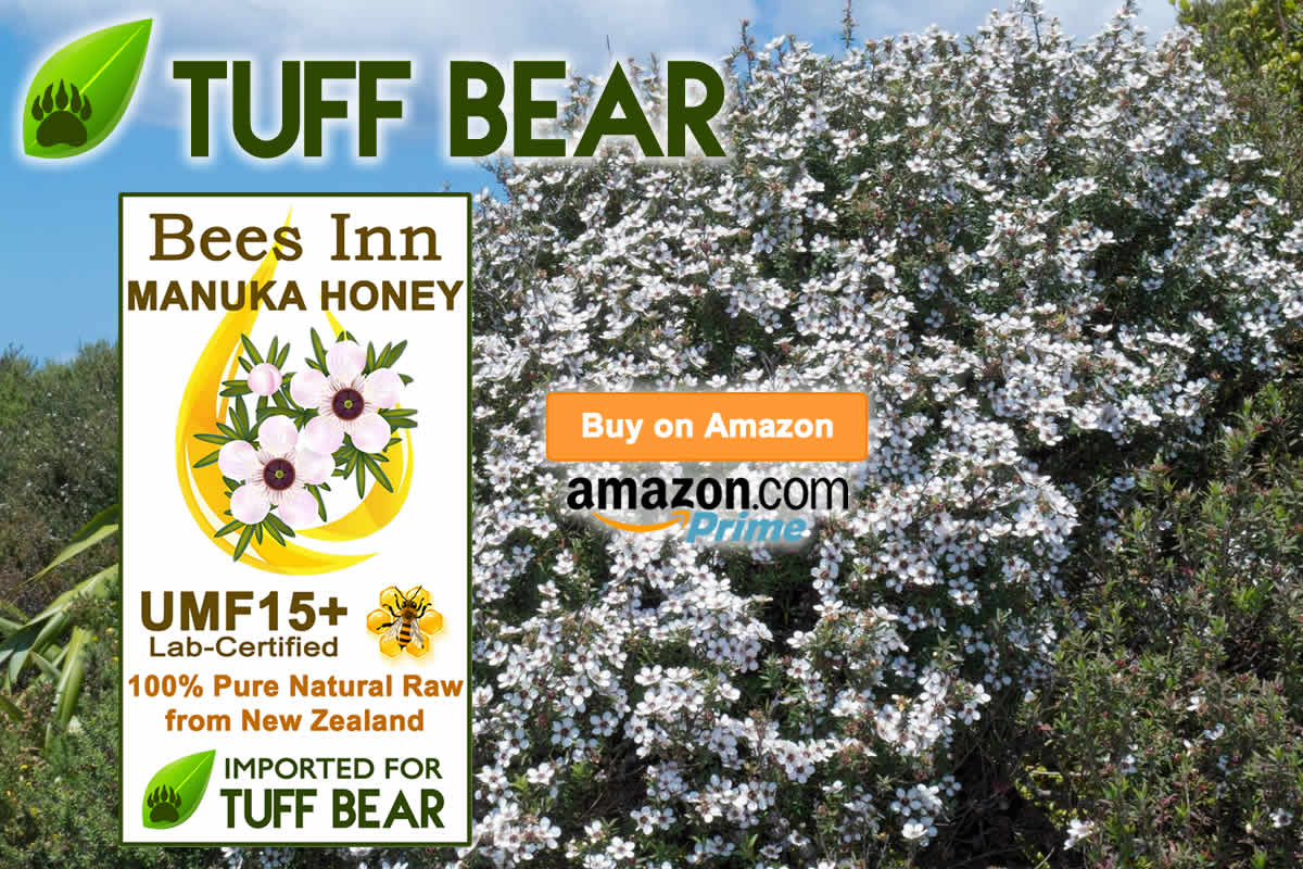 Top Brand! Affordable Manuka Honey UMF 15  