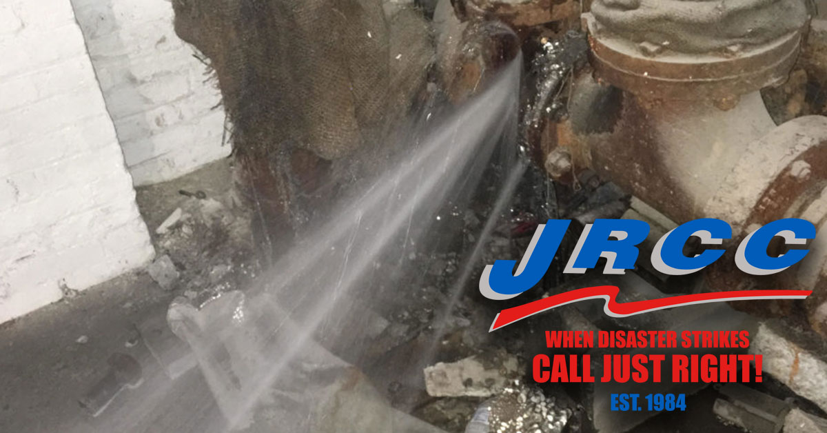 Frozen Water Pipe Leak Repair and Cleanup in Palisades, WA