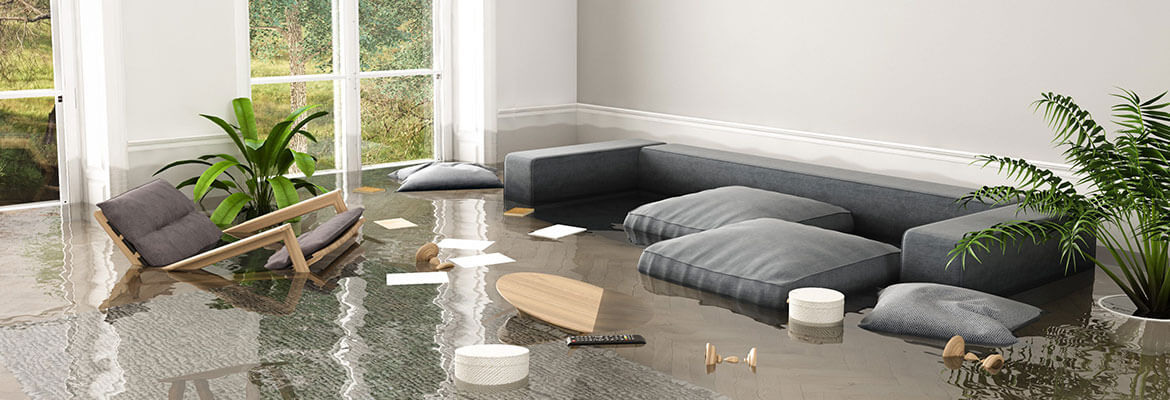 water removal in Sunnyside, WA