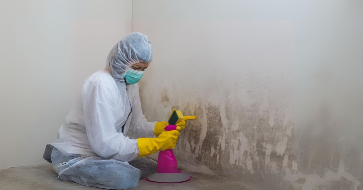 Health Impacts of Mold Damage and Restoration Solutions