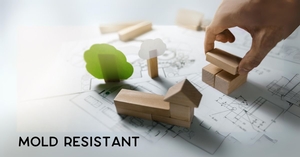 Top 10 Mold-Resistant Building Materials for a Healthier Home Environment