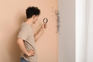 Beyond Repair: How to Assess When Mold Damage Requires Professional Intervention vs. DIY