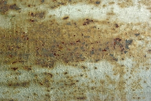 Brown Mold: Common Areas and Risks