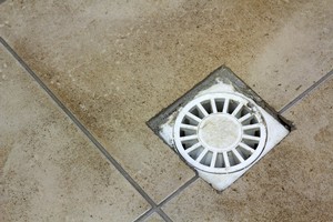 Solution: How to Unclog a Basement Drain That Has Standing Water