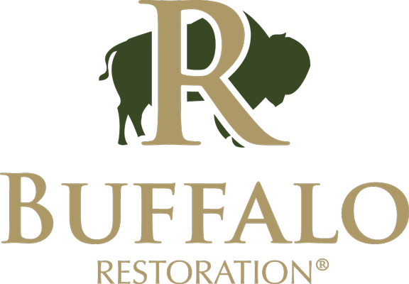 Buffalo Restoration