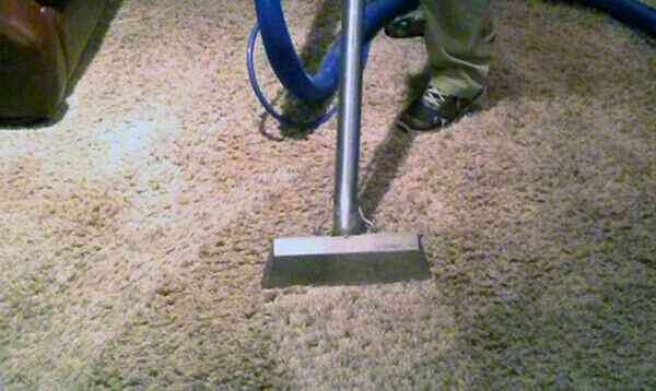 Professional Carpet Cleaning in Bozeman, MT