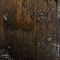 Accelerated Wood Rotting