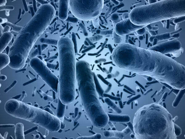 Germs