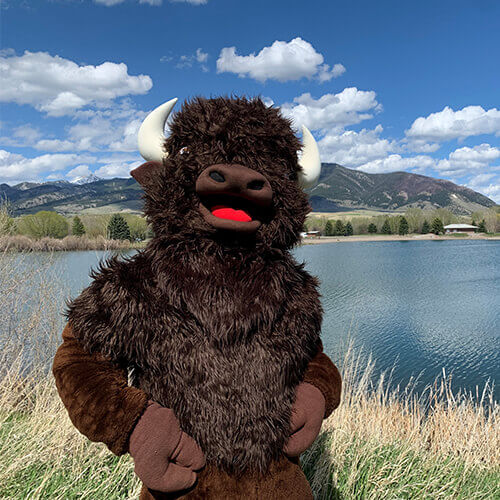 Chip - Buffalo Restoration's Mascot