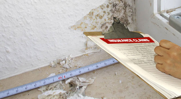 Insurance Claims Assistance