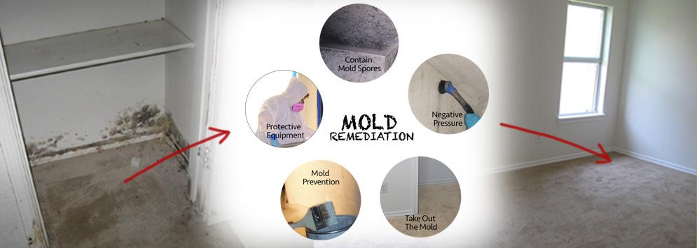 Mold Removal Company Toms River Nj