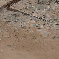 Moldy and Cracked Tiles