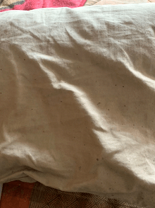 Brown/Reddish Stains on Sheets from Bed Bugs