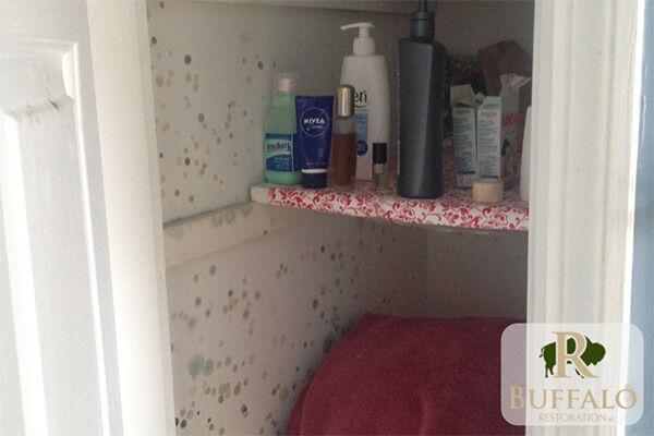 Mold in Bathroom Closet
