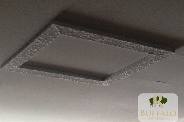 Mold on Attic Hatch