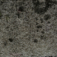 Soggy and Foul-smelling Carpets