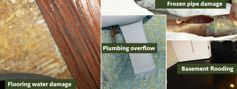 Water Damage Restoration Services in Bozeman, MT