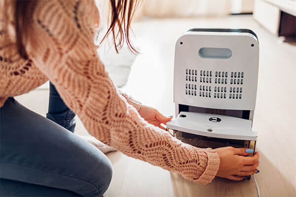 Woman Emptying Dehumidifier Water Collection Tray