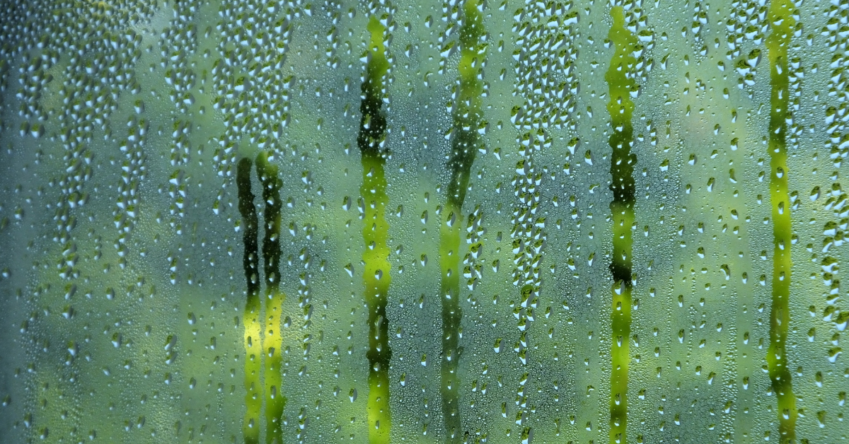 Condensation on a window