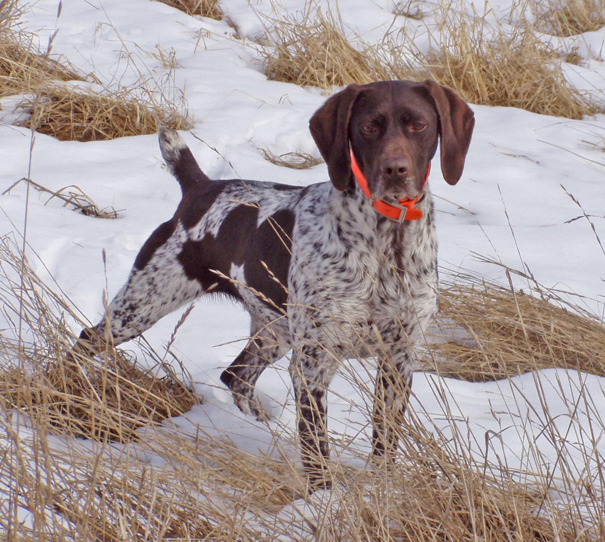 Grouse Point's Luscious Lexy