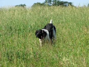 A840C0FF-chaseimg_8042_2.jpg