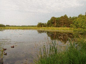 The Pond at Grouse Point