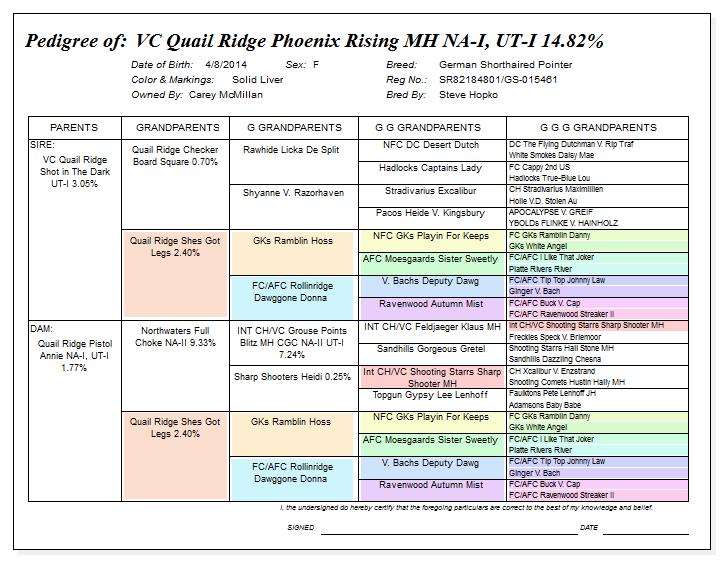 Pedegree for Quail Ridge Phoenix Rising