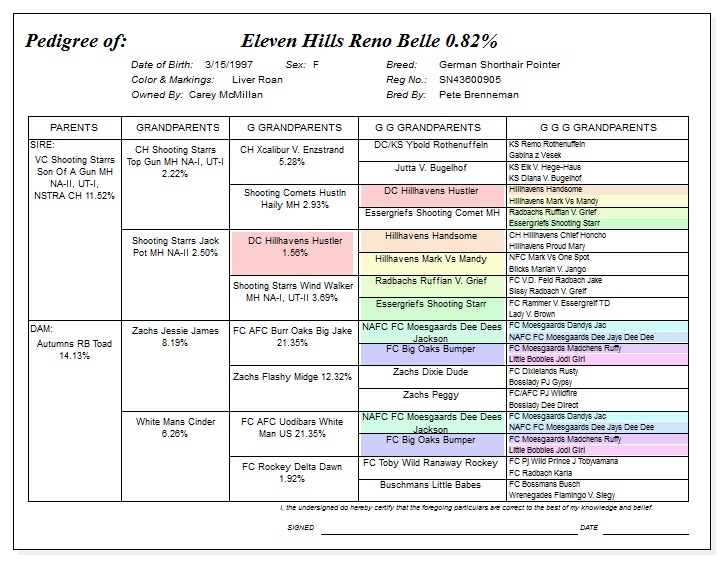 Pedegree for Eleven Hills Reno Belle