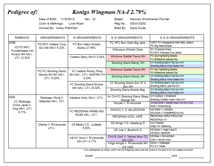 Pedegree for Konigs Wingman