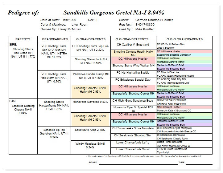 Pedegree for SANDHILLS GORGEOUS GRETEL